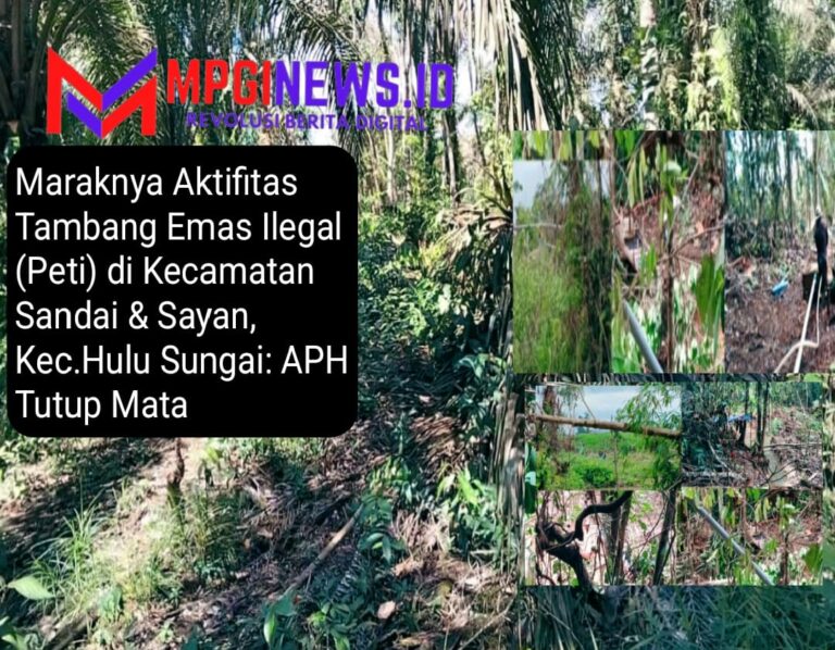 Maraknya Aktivitas Tambang Emas Ilegal (PETI) di Kec. Sandai & Sayan, Hulu Sungai, Diduga Dimodali EO, AT, AN, dan ALG/AY Terkesan Kebal Hukum